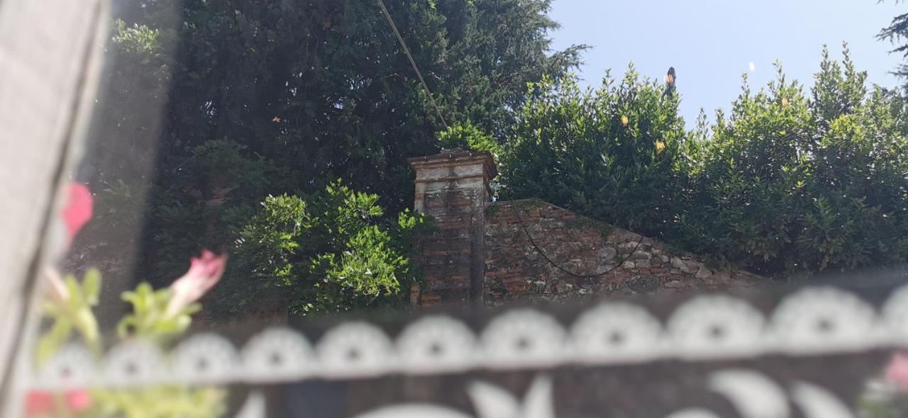 La Maison De Jardin Lucca Eksteriør billede