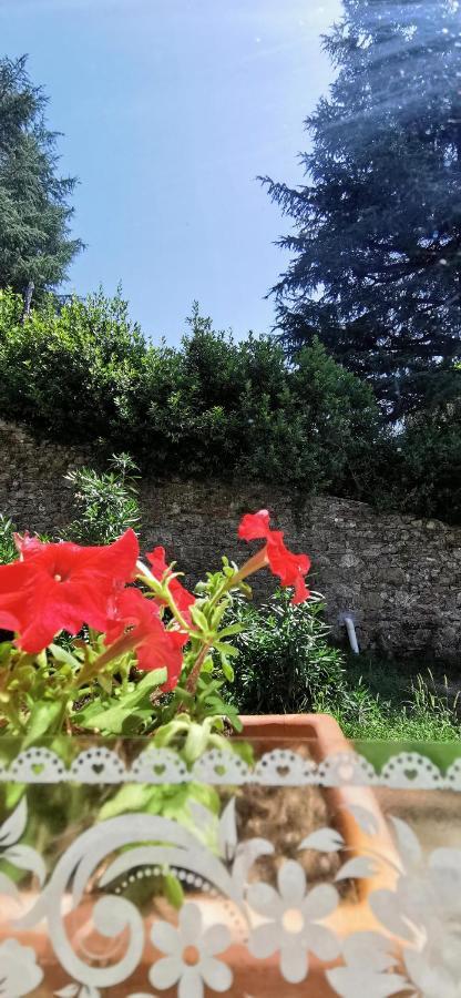 La Maison De Jardin Lucca Eksteriør billede