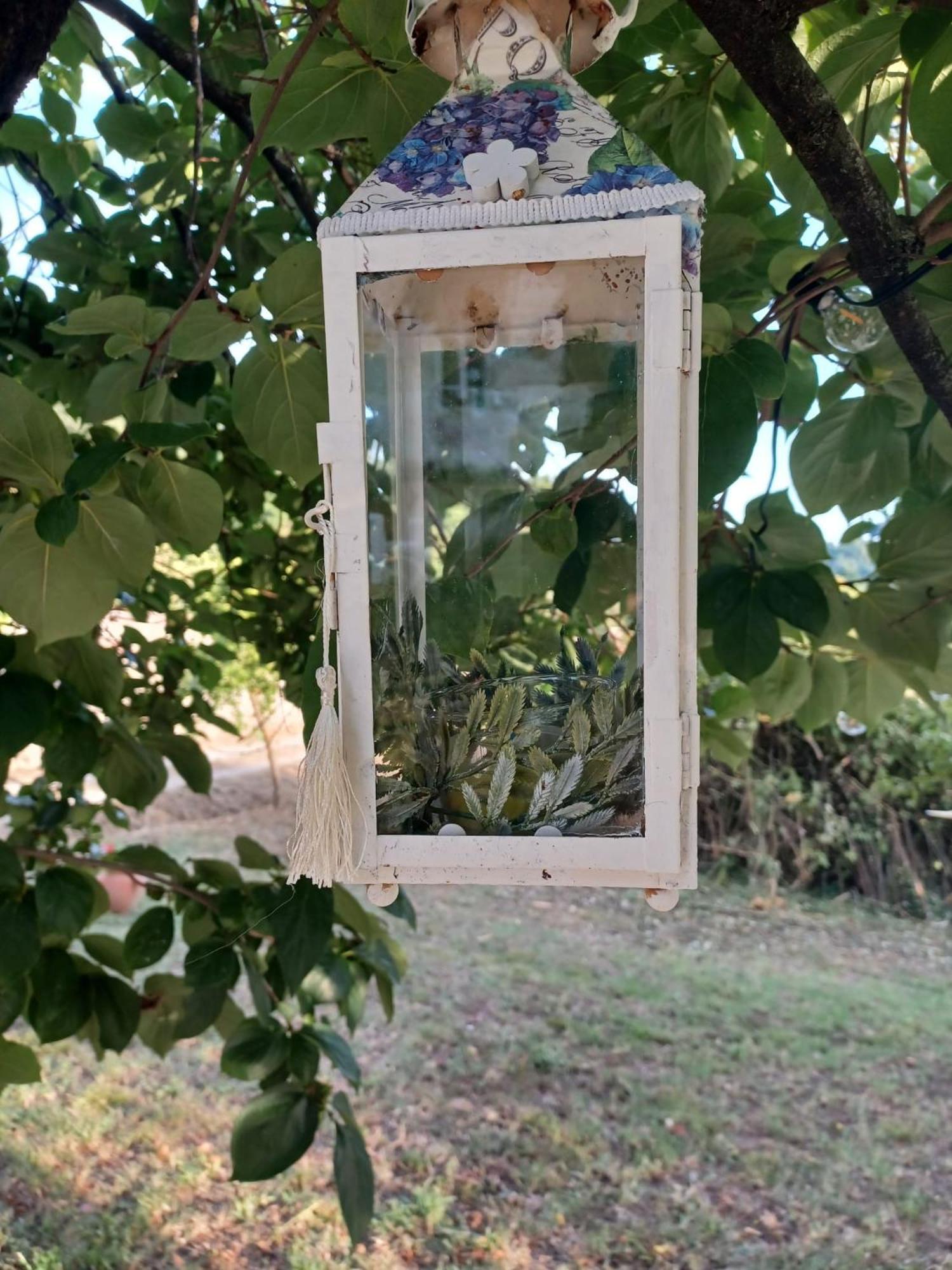 La Maison De Jardin Lucca Eksteriør billede